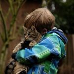 take in these great cat care tips