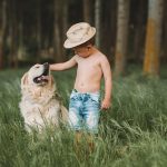 tips for successfully adding a dog to your family
