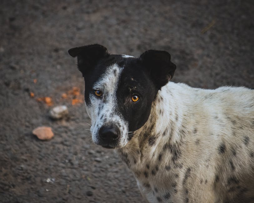 pexels photo 20338113 4