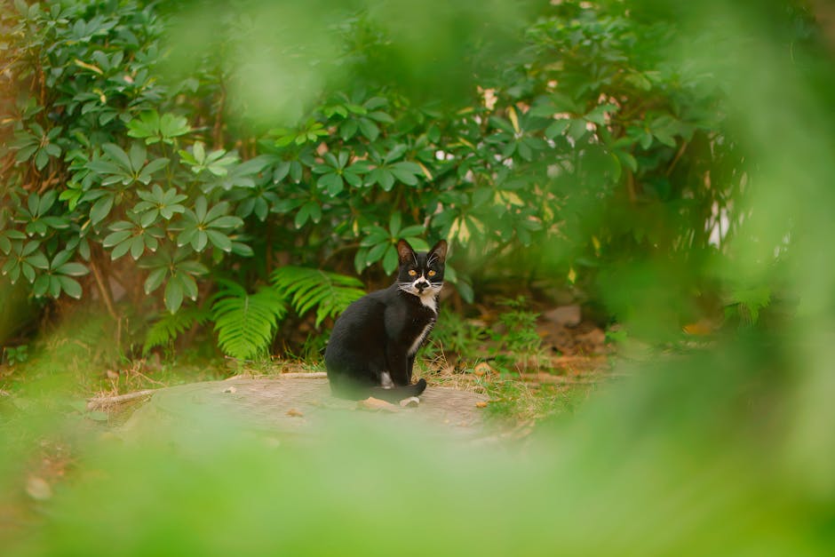 pexels photo 20486557 2