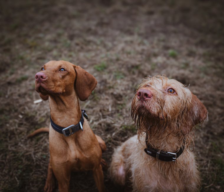 pexels photo 20508905