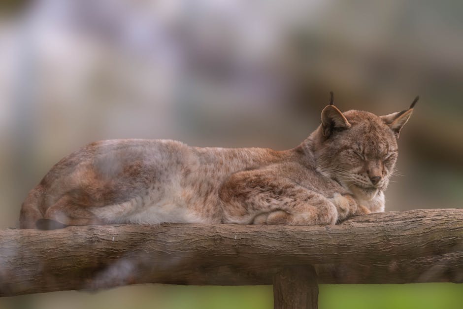 pexels photo 20657934