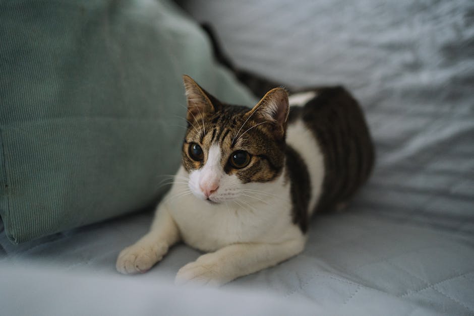 pexels photo 20759364