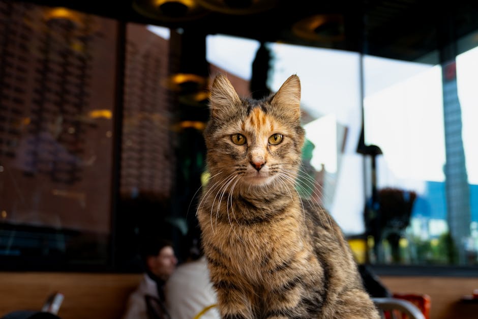 pexels photo 20785145 1