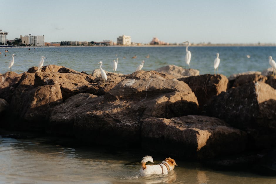 pexels photo 27269140 2