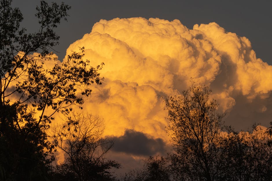 Furry Friends Forever: Decoding The Dog Vs. Cat Debate pexels photo 16314816