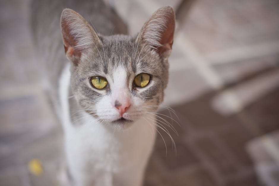 pexels photo 31587319