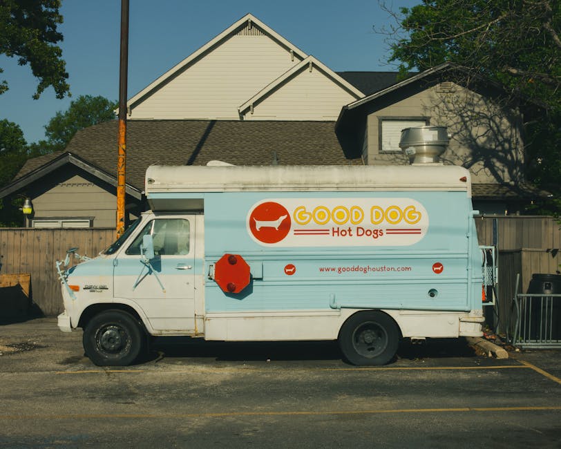 pexels photo 31626706