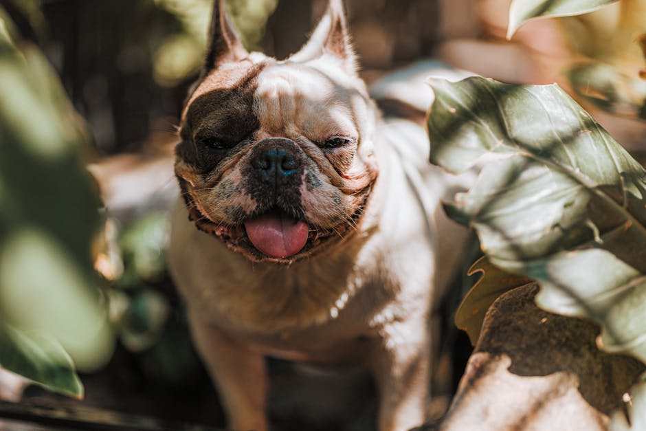 pexels photo 31707512