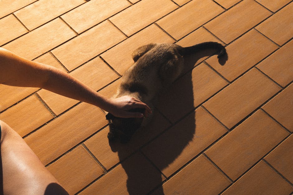 pexels photo 31712470