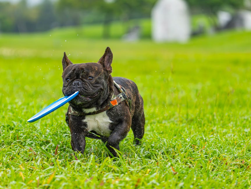 pexels photo 31726806