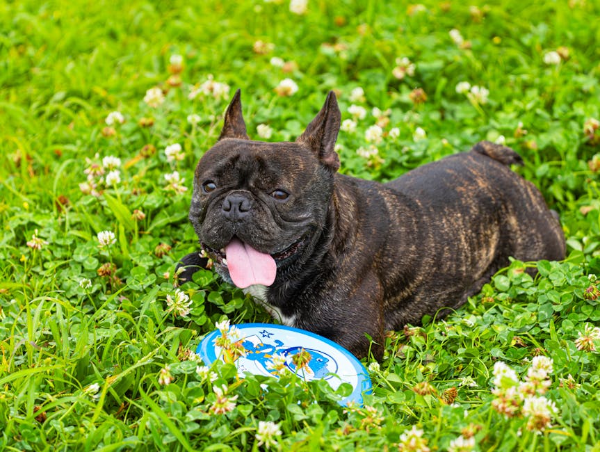 pexels photo 31726809