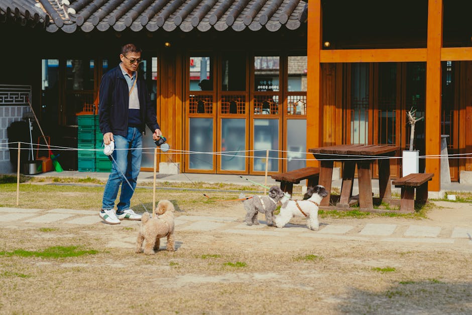 pexels photo 31752214