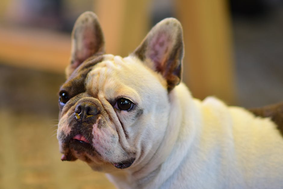 pexels photo 31813990