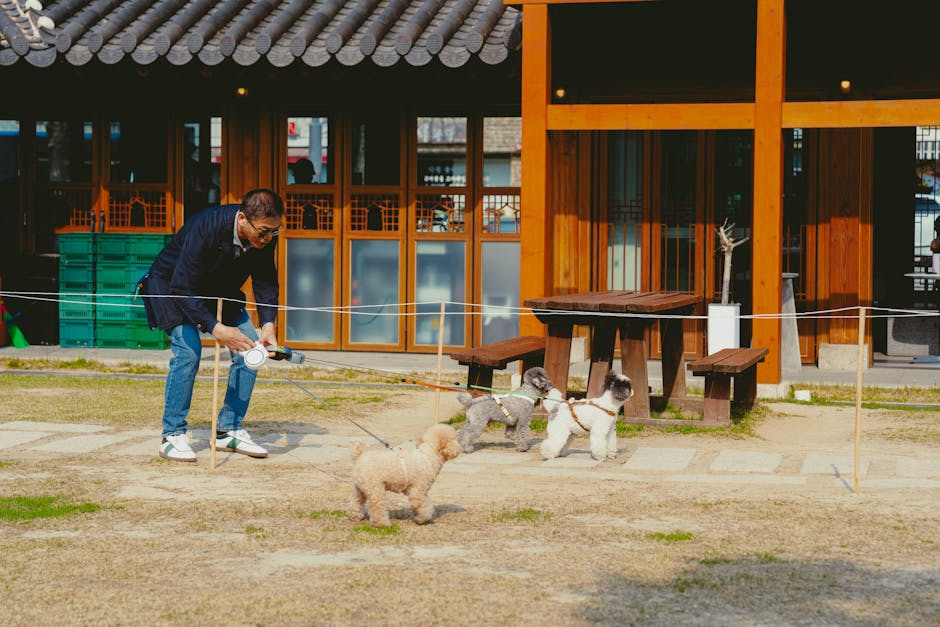 pexels photo 31752215