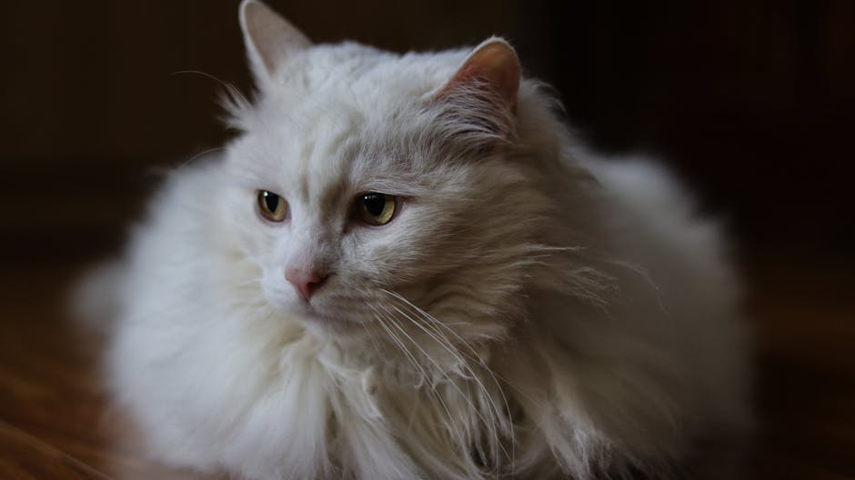 pexels photo 31866573