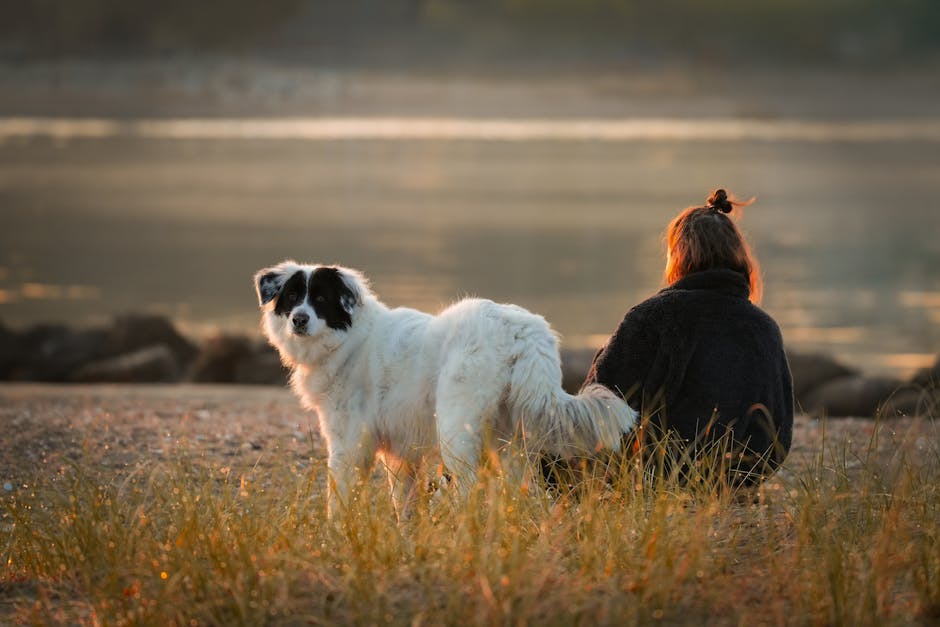 pexels photo 31914549