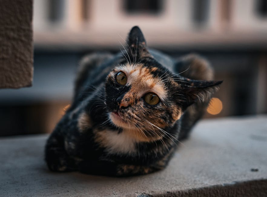 pexels photo 31985995