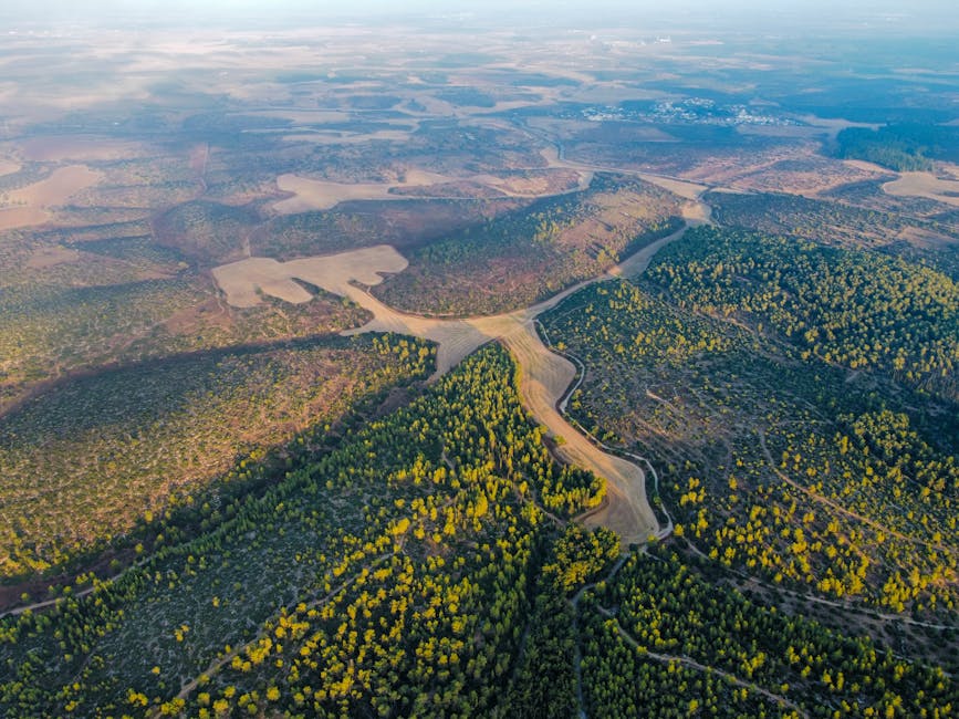 The Great Debate: Are You Team Cat Or Team Dog? pexels photo 13624290 1