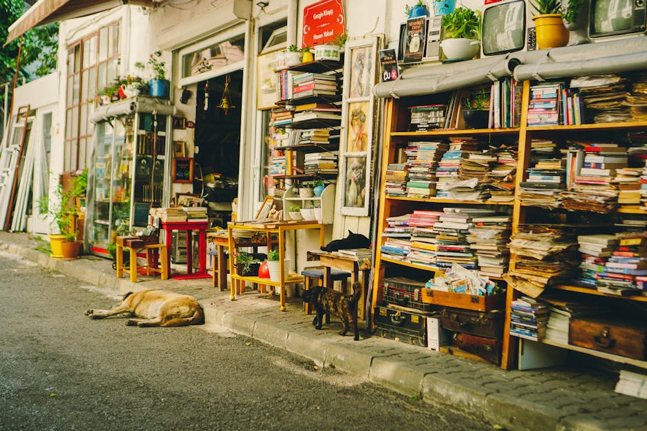 pexels photo 32612059 1