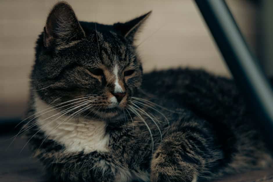 pexels photo 33542090