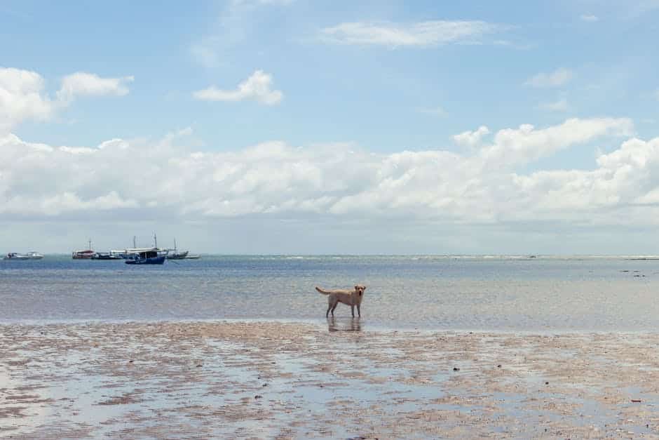 pexels photo 33744145