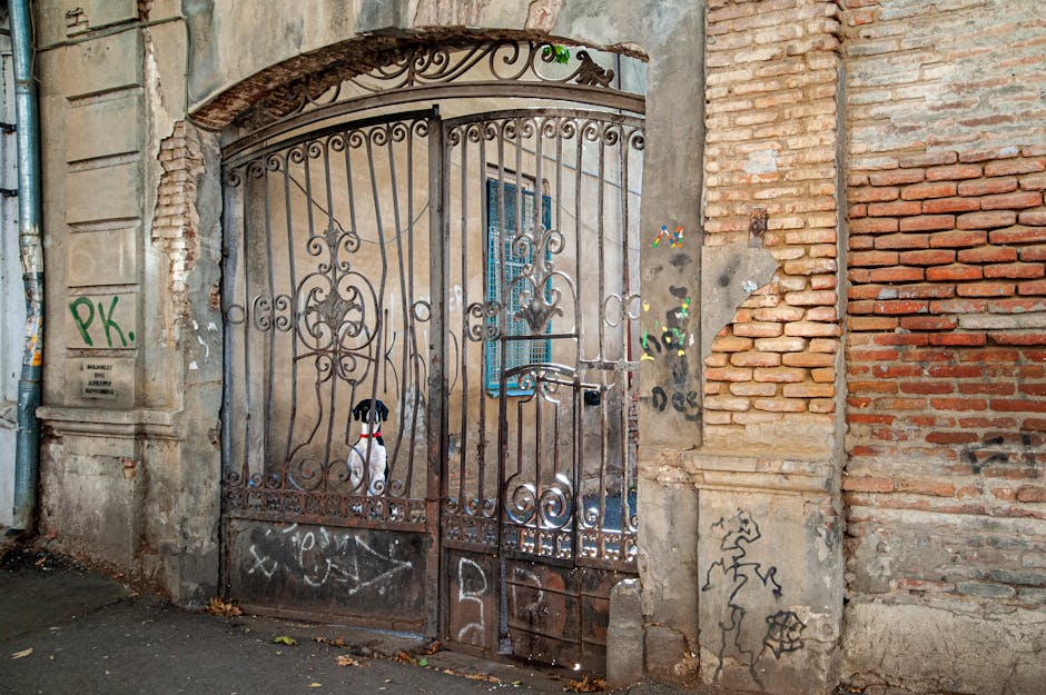 pexels photo 33778747