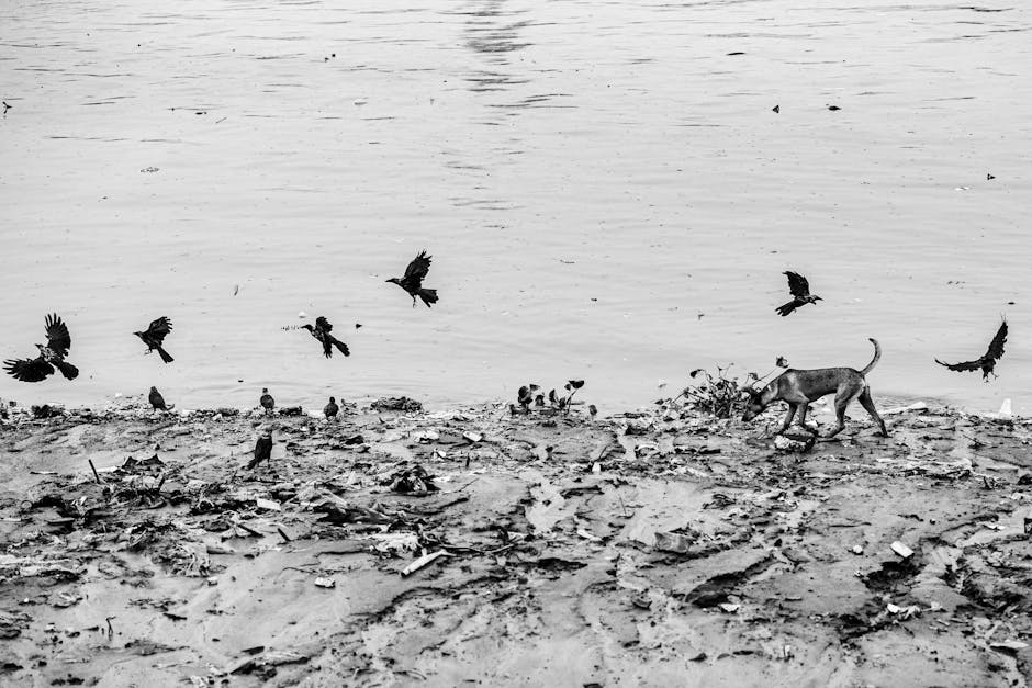 pexels photo 33786689