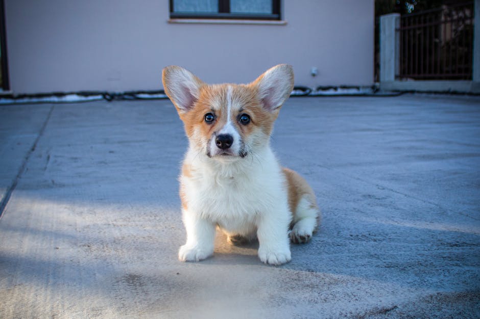 pexels photo 35131003