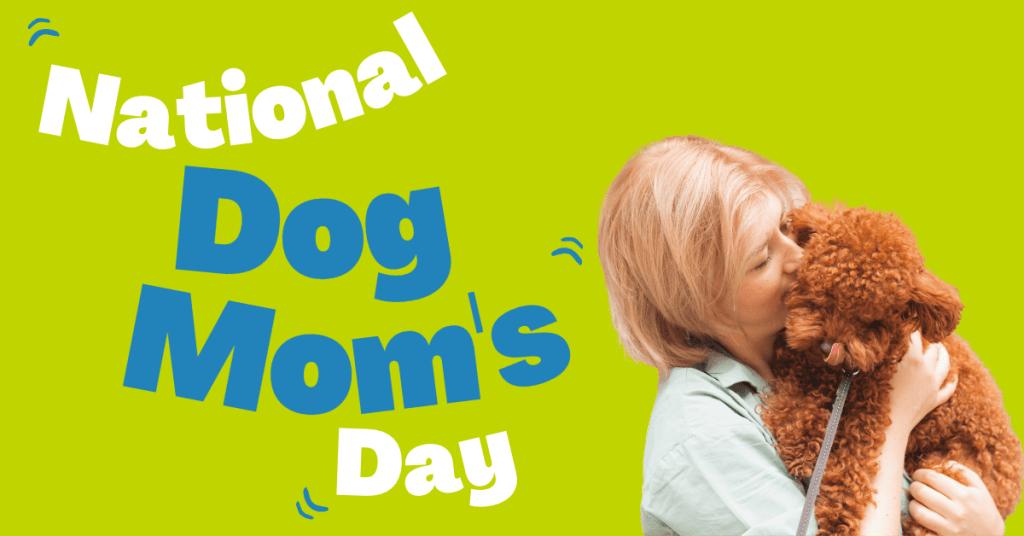 celebrate national dog moms day in the most special way