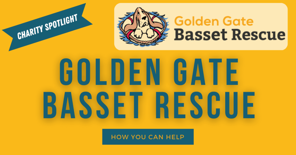 help golden gate basset rescue save all the bassets