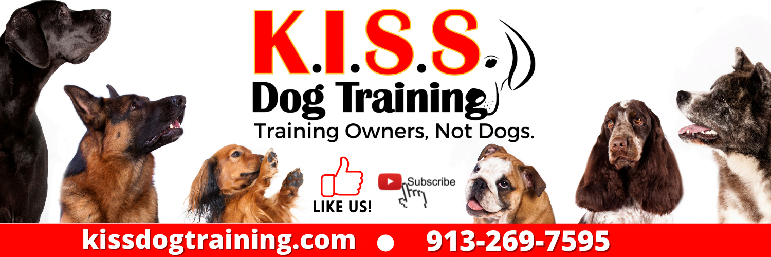 kiss dog training recommendations poochie bells