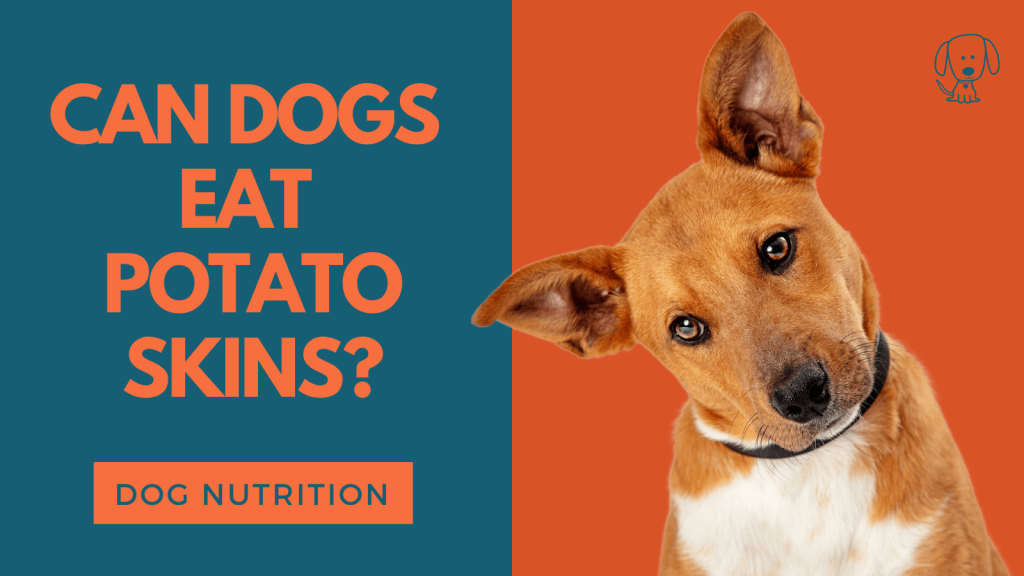 can dogs eat potato skins raw or cooked safe or not
