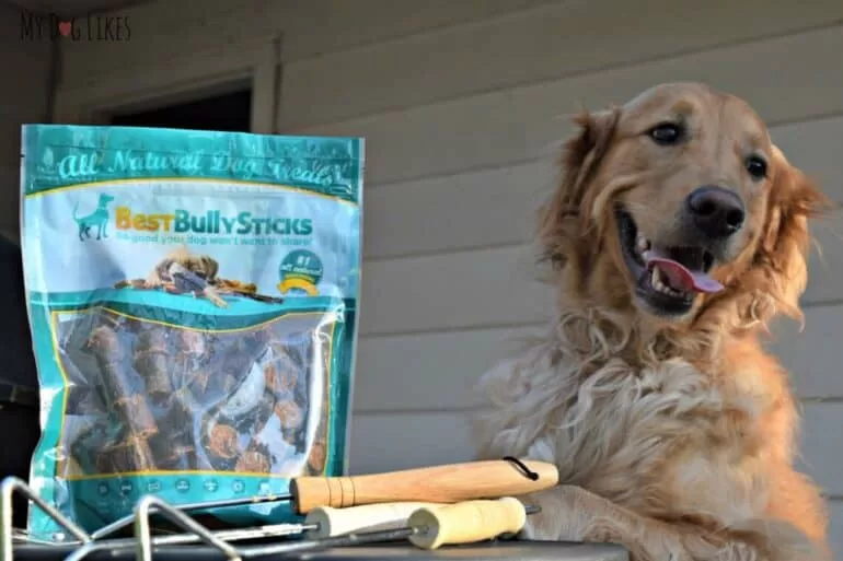 single ingredient dog chews and treats from best bully sticks