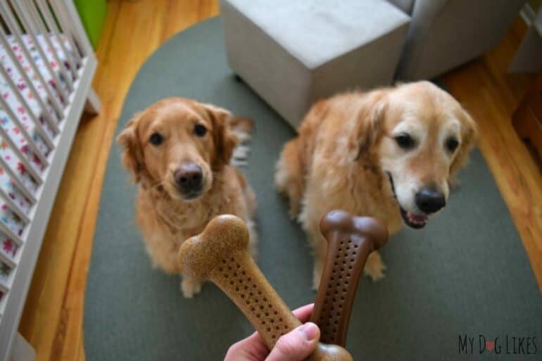 flavorit barkbone review helping a busy pet parent manage it all 1