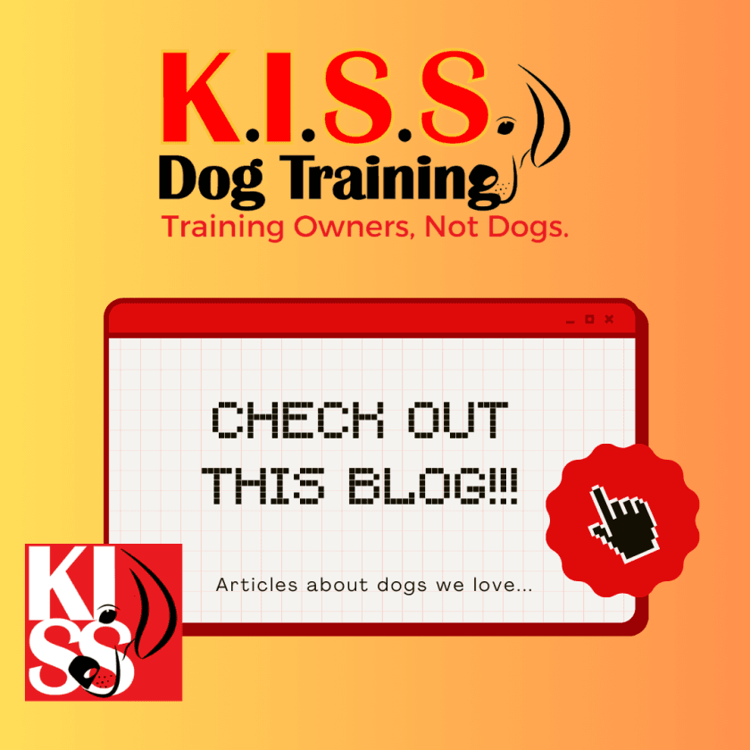 a dog trainer from shawnee ks shares a great article on the hidden cost of quick fixes in dog training