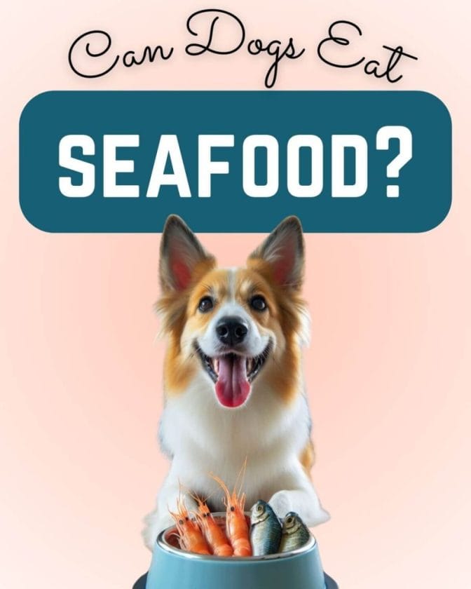 can dogs eat seafood 27 safe snacks from the sea